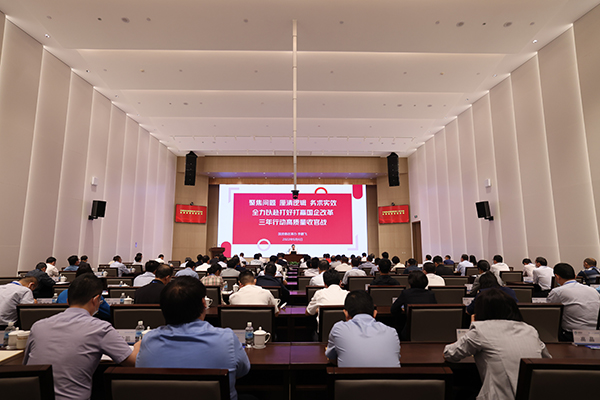 铂莱国际物流集团举办改革三年行动高质量收官培训会